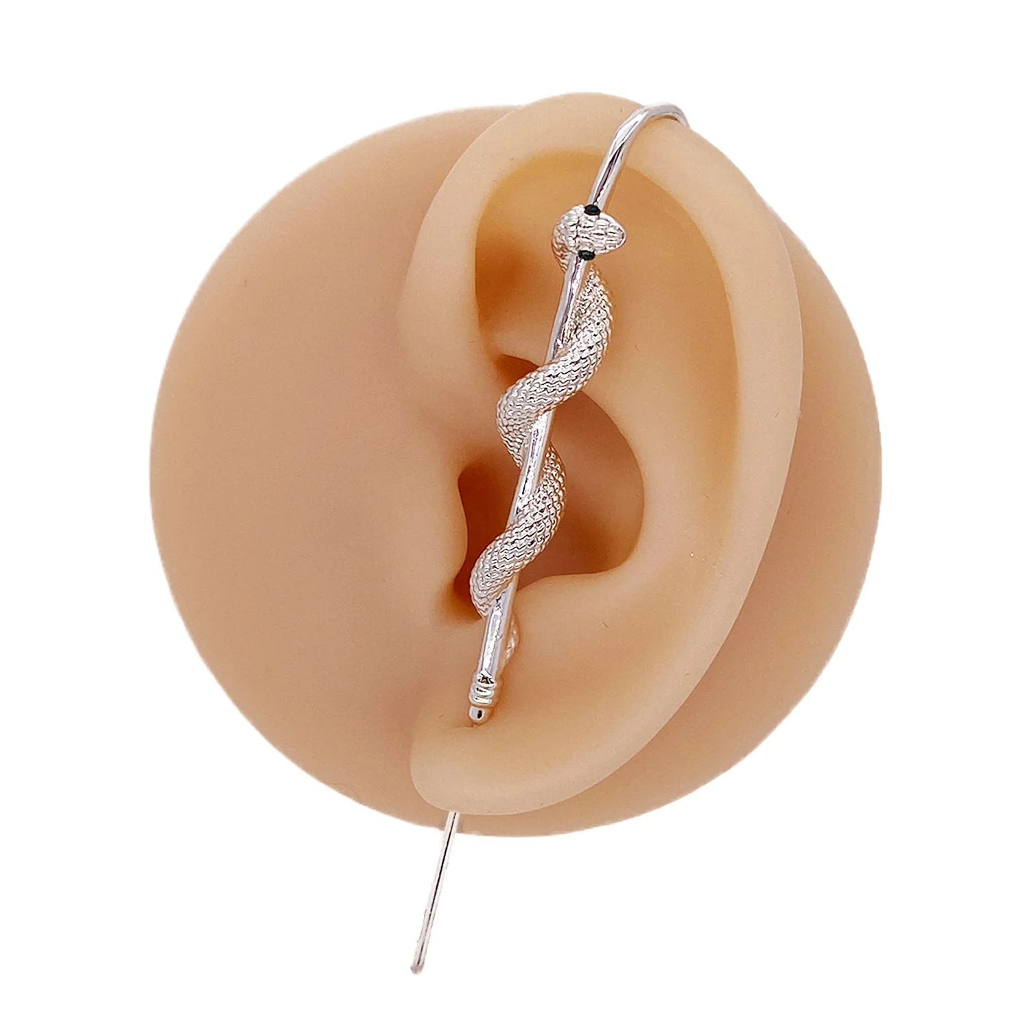 Coiled Snake - Image 4